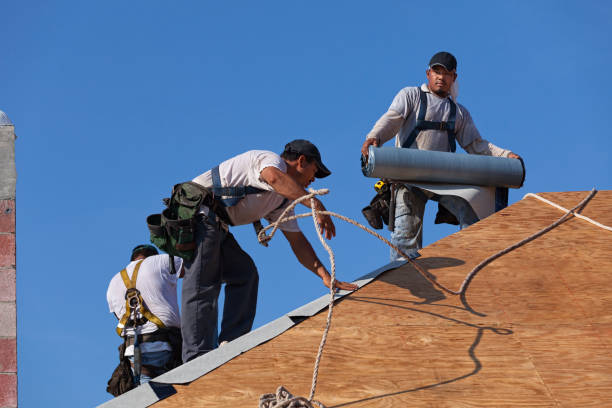 Best Flat Roof Repair Services  in Williston, FL